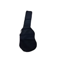 Funda de Bajo Eléctrico Aria Pro II PB-EB